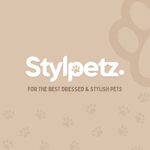 Ensemble ou collier de chat de luxe personnalisé en velours gravé avec laisse, noeud. Boucle de sécurité en métal gravée gratuite Collier cadeau personnalisé pour chat et chaton image 9