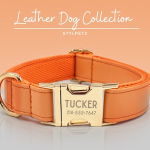 Könnte beinhalten: Orangefarbenes Lederhundekragen mit einer goldenen Schnalle. Die Schnalle ist mit dem Namen "TUCKER" und der Telefonnummer "214-555-7647" graviert.