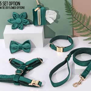 Emerald Velvet Engraved Dog Harness with Leash Set. Free Engraving on Metal Buckle,Harness+Collar+Bowtie+Poo Bag Holder Bundle