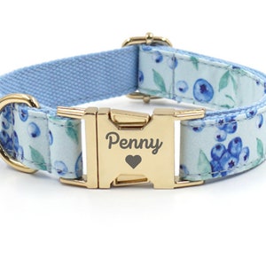 May include: A light blue dog collar with a white and blue blueberry print. The collar has a gold buckle with the name "Penny" engraved on it.