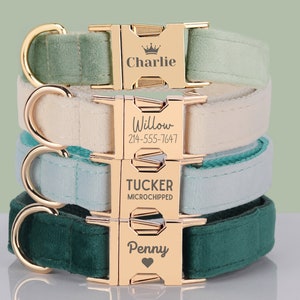 Multiple Color Velvet Engraved Dog Collar Set with Leash, Bow. Free Engraving on Metal Buckle, Wedding Puppy Gift Green, Teal, Emerald, Blue