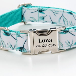 May include: A white and teal dog collar with a silver buckle. The buckle has the name "Luna" and the phone number "214-555-7647" engraved on it.