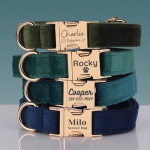 Puede incluir: Cuatro collares de perro personalizados apilados uno encima del otro. Los collares son de terciopelo verde y azul con hebillas de metal dorado. Los collares están grabados con los nombres "Charlie", "Rocky", "Cooper" y "Milo".