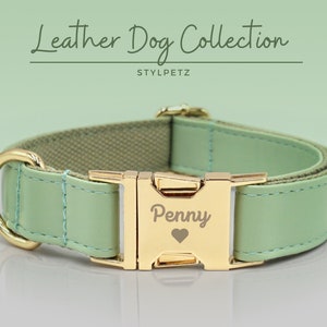 Mint Green Faux Leather Engraved Dog Collar Set with Leash. Free Engraving on Metal Buckle, Wedding Puppy Gift, Present, Canine, Walking