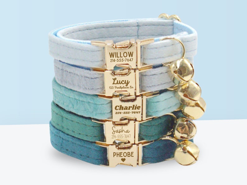 Ensemble ou collier de chat de luxe personnalisé en velours gravé avec laisse, noeud. Boucle de sécurité en métal gravée gratuite Collier cadeau personnalisé pour chat et chaton image 1
