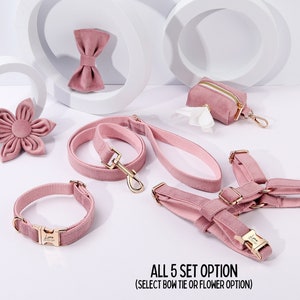 Ensemble harnais pour chien gravé en velours rose poudré avec laisse. Gravure gratuite sur boucle en métal, harnais + collier + nœud papillon + porte-sac à caca