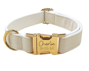 May include: White dog collar with a gold buckle and a personalized inscription that reads "Charlie 214-555-7647".