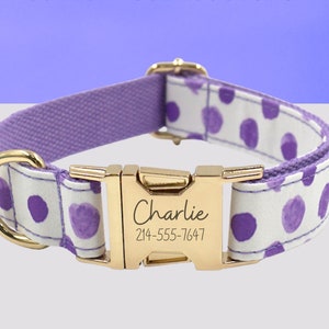 May include: Purple and white dog collar with a gold buckle. The buckle is engraved with the name "Charlie" and the phone number "214-555-7647".