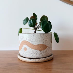 May include: A cylindrical ceramic planter with a speckled off-white finish and a wavy peach-colored band design. The planter sits on a matching circular saucer and contains a small green Pilea peperomioides plant with round, dark green leaves.
