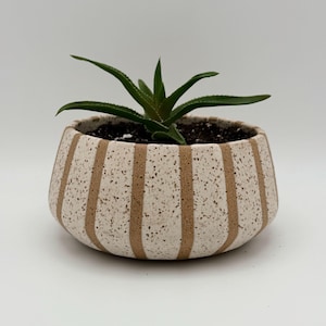 5&quot; Striped Speckled Ceramic Planter with Drainage| Brown & White Handmade Shallow Plant Pot | Modern Minimalist Neutral Home Decor Gift