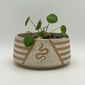 Könnte beinhalten: Ein weißer Keramiktopf mit einem braunen Schlangenmuster und braunen Streifen. Der Topf ist mit einer grünen Pflanze gefüllt.