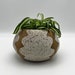 see more listings in the Planters section