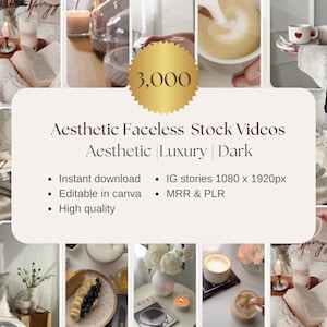 Faceless Reels Bundle Faceless Stock Videos Faceless Marketing Aesthetic Reels MRR PLR Digital Marketing Faceless Luxury Video Reels Canva