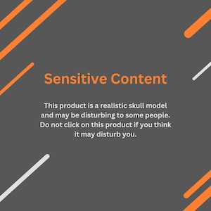 May include: A warning message on a gray background with orange and white diagonal lines. The text reads: "Sensitive Content. This product is a realistic skull model and may be disturbing to some people. Do not click on this product if you think it may disturb you."