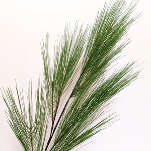 Preserved Real Pine Leaves Branches, 17'' Natural Pine Needles Green  Plants, 4OZ Greenery Pine Twigs Stems, Evergreen Pine Picks for Christmas  Garland