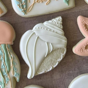 May include: A white sugar cookie decorated with a detailed white seashell design. The cookie is a light brown colour and has a slightly textured surface.