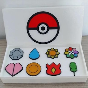Kanto Badges and Case