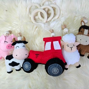 Giocattoli sospesi per palestre da gioco per bambini Farm Yard