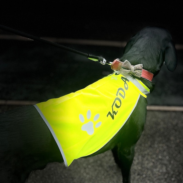 Personalized hivis for dog lovers, Custom dog print hivis, Dog themed reflective vest. Personalized dog owner hivis.