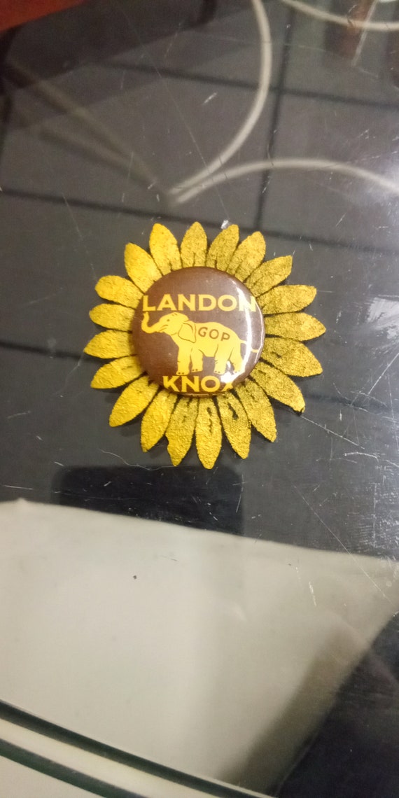 Rare Political pin