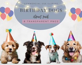 May include: Four dogs wearing party hats, a golden retriever, a black and white border collie, a brown and white terrier, and a cream colored doodle. The dogs are all looking at the camera and smiling. The background is a light gray with a string of lights and balloons.