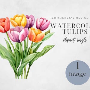 Aquarel tulpen clipart, aquarel bloemen, lentebloemen, lente clipart png, clipart tulp, bloemen clipart, junk Journal