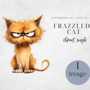 Digital Download, Funny Cat, Junk Journal, Cartoon Cat, Frazzled Cat Png, Commercial Use, Card Making, Transparent Background