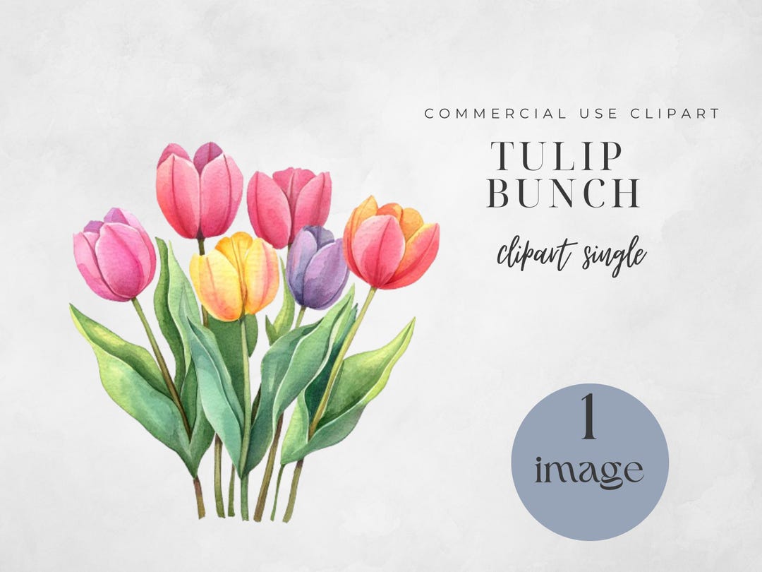 Watercolor Tulip Clipart: Spring Flower Bouquet (PNG Digital Download ...