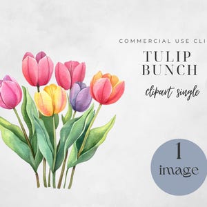 Watercolor Tulips Clipart, Watercolor Flowers, Spring Flowers, Spring Clipart Png, Tulip Clip art, Floral Clipart, Junk Journal
