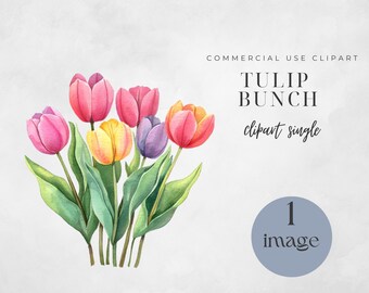 Watercolor Tulip Clipart: Spring Flower Bouquet (PNG Digital Download)