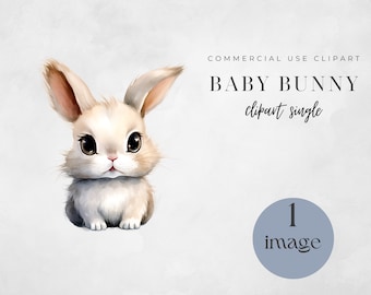 Baby Bunny Clipart: Nursery Art, Commercial Use (PNG Digital Download)