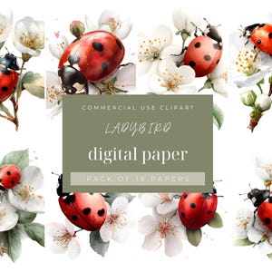 Ladybug Digital Paper, Cute Printable Patterns for Scrapbooking, Crafting Backgrounds & Design Downloads