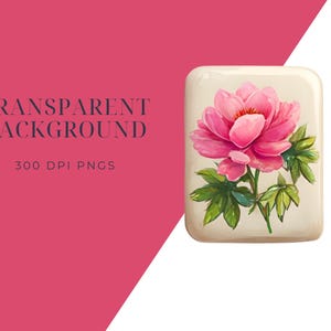 May include: A digital graphic featuring a pink peony flower with green leaves on a rectangular, off-white background. The image includes the text "TRANSPARENT BACKGROUND" and "300 DPI PNGS" on a pink background.