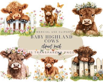 Baby Highland Kuh PNG Clipart: Blumen Aquarell Design (Digitaler Download)