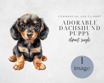 Dachshund Png, Wall Art, Cute Dachshund Png, Junk Journal,  Watercolor Dachshund Clipart,  Dachshund Wall Art
