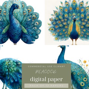 Peacock Digital Paper, Colorful Printable Backgrounds, Scrapbooking Essentials, Instant Download for Journals