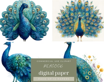 May include: Digital paper pack featuring watercolor illustrations of peacocks in various poses. The peacocks display vibrant blue, green, and yellow plumage. The image includes text that reads "COMMERCIAL USE CLIPART PEACOCK digital paper PACK OF 12 PAPERS."