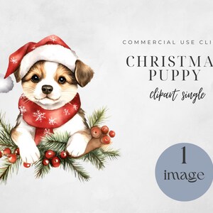 Digital Download, Dog Clipart, Christmas Dog, Dog Png, Dog Lover, Instant Download, Dog Breeds Png Images, Dog Portraits