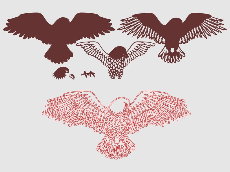 Pu&ograve; includere: Tre diversi stili di silhouette di aquile. Le prime due sono marroni e la terza &egrave; delineata in rosso. La prima aquila guarda a sinistra, la seconda a destra e la terza in avanti.