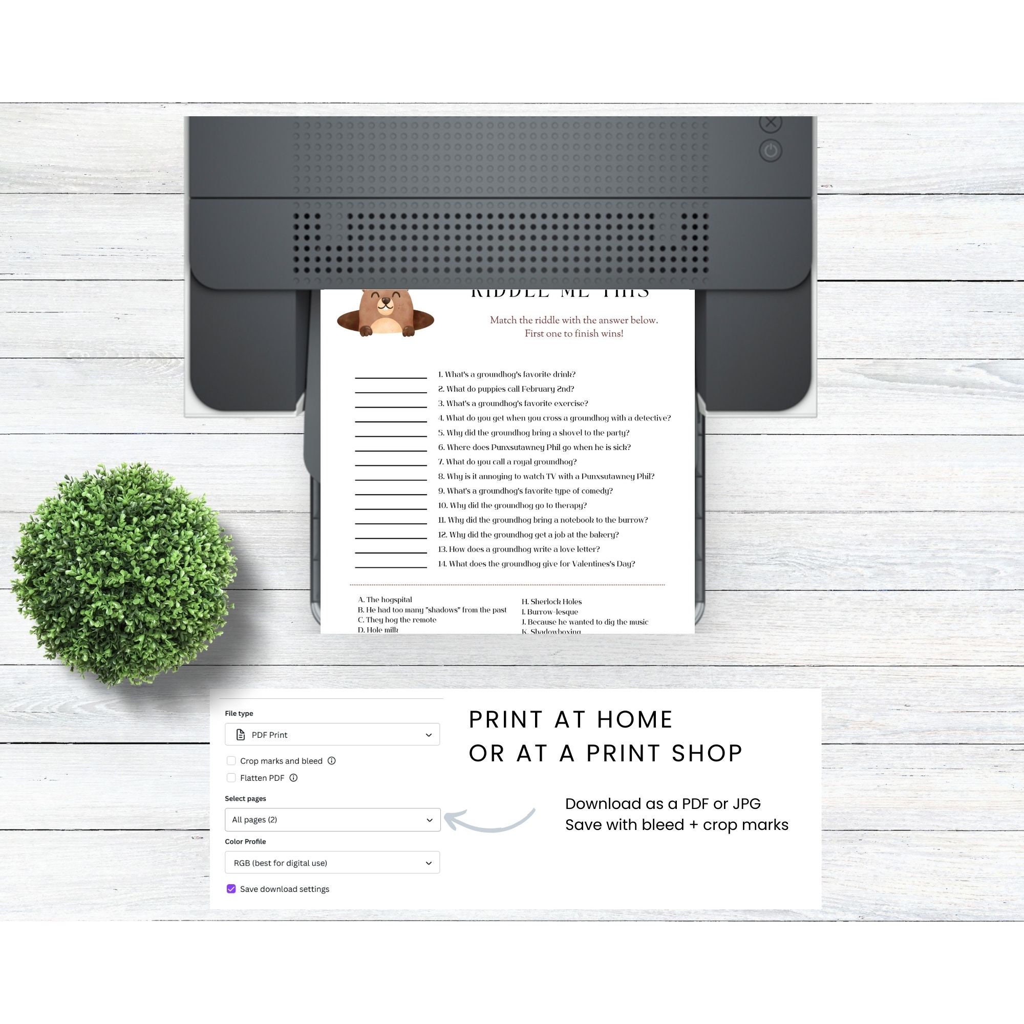 Groundhog Day Riddle Me This, Fun Groundhog Party Game for Kids and ...