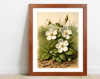 Cherokee Rose Art Print, Vintage Floral Illustration, Flower Wall Art Home Decor, Printable Digital Download