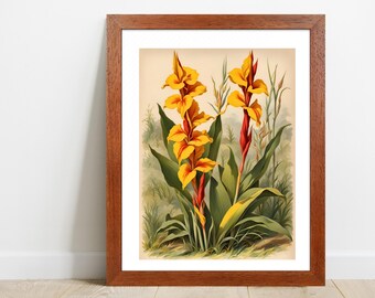 Canna Flower Art Print, Vintage Botanical Illustration, Floral Wall Art Home Decor, Printable Digital Download