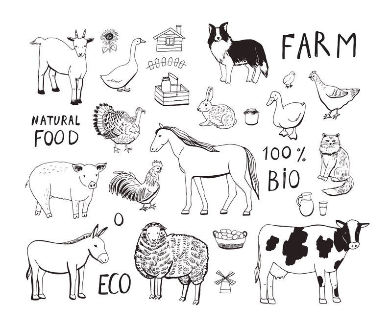 May include: Black and white line drawing illustration of farm animals, including a cow, pig, sheep, horse, donkey, goat, rooster, turkey, goose, rabbit, cat, and dog. The illustration also includes a farmhouse, a basket of eggs, a windmill, a pitcher, a glass, and a box of produce. The text "FARM", "NATURAL FOOD", "100% BIO", and "ECO" are also included in the illustration.
