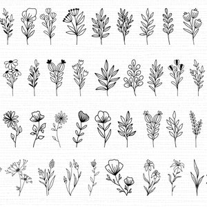 550 Wildblumen SVG Bundle Wildblumen Vektor Wildblumen Silhouette Wildblumen Clipart Wildblumen Schnittdatei Geburtsblumen SVG-Dateien für Cricut Bild 4