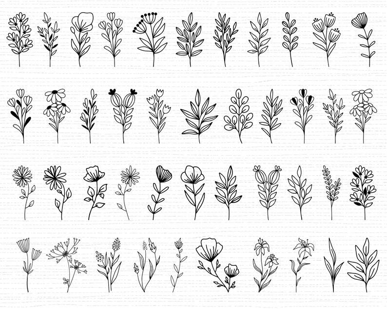 550 Wildblumen SVG Bundle Wildblumen Vektor Wildblumen Silhouette Wildblumen Clipart Wildblumen Schnittdatei Geburtsblumen SVG-Dateien für Cricut Bild 4