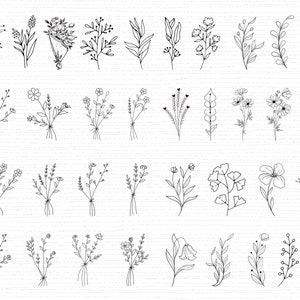 550 Wildblumen SVG Bundle Wildblumen Vektor Wildblumen Silhouette Wildblumen Clipart Wildblumen Schnittdatei Geburtsblumen SVG-Dateien für Cricut Bild 5