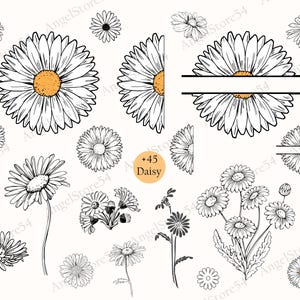 Daisy svg, Daisy Flower Clipart, Daisy Svg Cut files for Cricut, Daisy monogram Svg, Half daisy svg