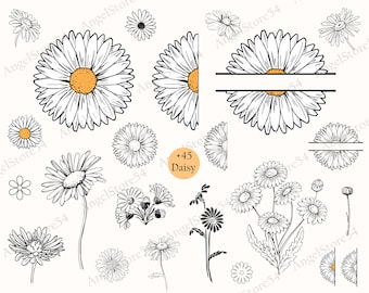 Svg de margarita, clipart de flor de margarita, archivos de corte de Svg de margarita para Cricut, Svg de monograma de margarita, media margarita svg