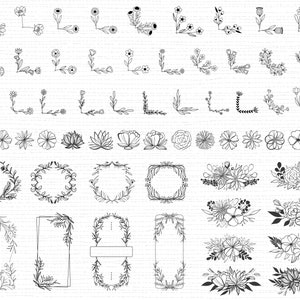 550 Wildblumen SVG Bundle Wildblumen Vektor Wildblumen Silhouette Wildblumen Clipart Wildblumen Schnittdatei Geburtsblumen SVG-Dateien für Cricut Bild 2