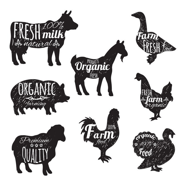 May include: Black and white illustrations of farm animals with text overlays. The animals include a cow, goat, pig, chicken, rooster, goose, sheep, and turkey. The text includes phrases like "Fresh Milk", "Organic Farming", "Farm Fresh Food", and "Premium Quality".